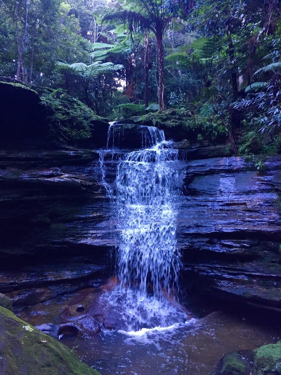 SuburbRun's tweet photo. Sydney - Not far from this weeks nearest line course in Northbridge is this beautiful nature trail. Engadine gets a score course &amp; Greystanes get a scatter course

Get out and discover the beautiful world around you

#suburbrun #fitness #running #northbridge #engadine #greystanes https://t.co/XBqM6vW1uD