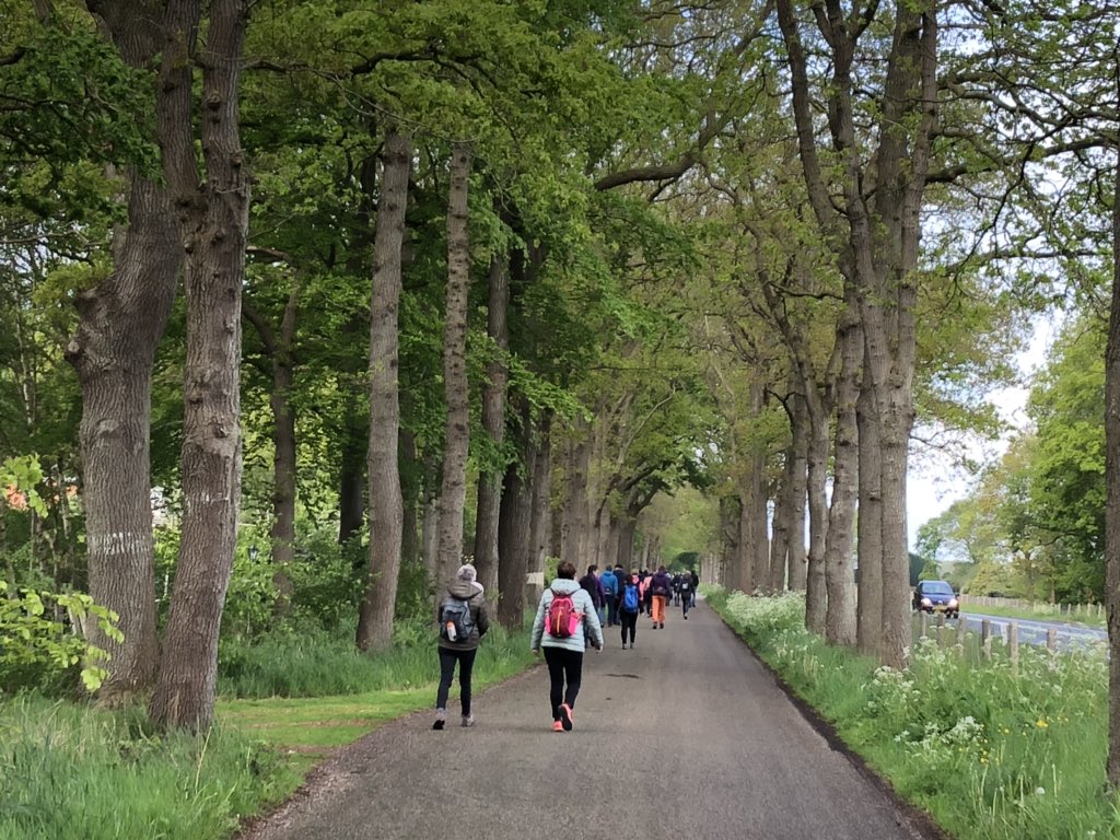HildaBoesjes's tweet photo. Onderweg in de #gaasterlandwandeltocht @GWTocht prachtige omgeving, nauwelijks regen en fantastische sfeer! @gemeenteDFM @provfryslan https://t.co/aYSDWwB6qF