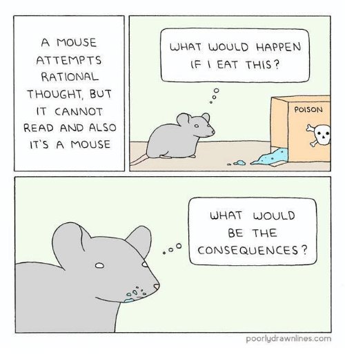 Что не умеет мышь. Доклад про крыс. Крыса живая. Мышка не умеет петь. Мыши в доме.