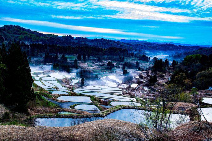 事故 星峠の棚田を撮影しようと乗用車が転落 男性死亡 新潟県十日町市 まとめダネ