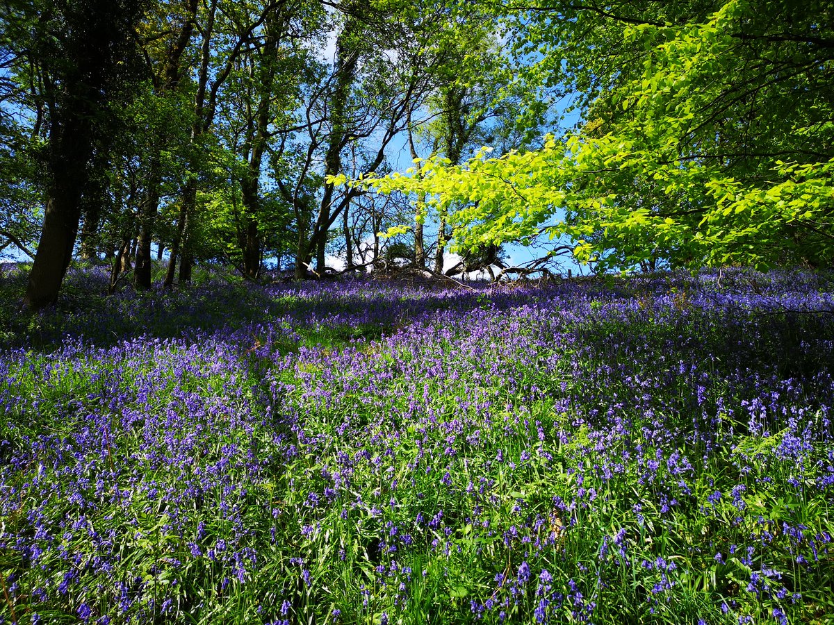Lancaster & Morecambe Walking Group tweet media