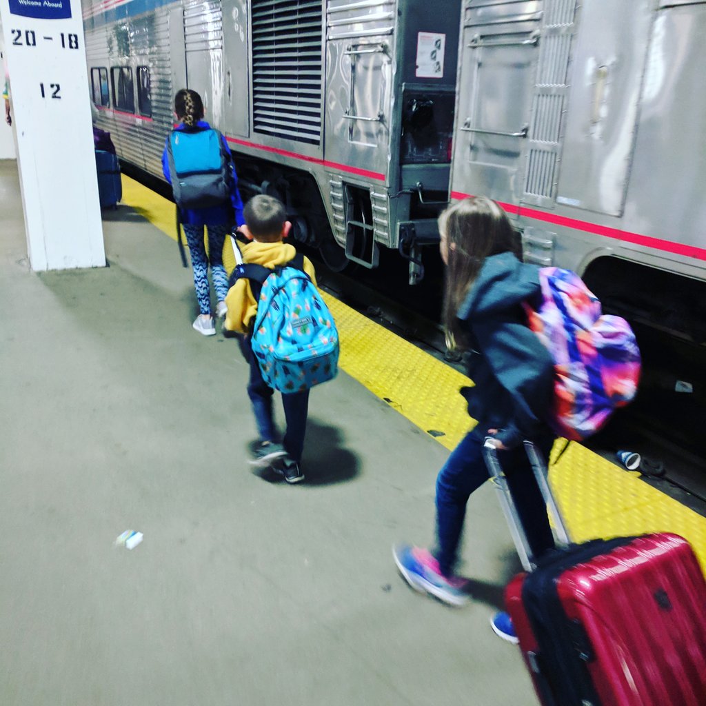 WeaversWander's tweet photo. Ready for our departure on the @Amtrak City of New Orleans from Chicago's Union Station. #amtrak #railfan #chicagounionstation @RailPassengers #amtrakviews #seeamericabyamtrak #railpassengers #viewsonatrain #chicago #cityofneworleans https://t.co/uV0p5W24AP