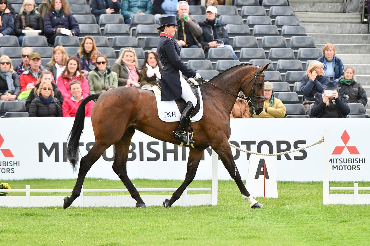 bhorsetrials's tweet photo. Piggy @Piggy_French &amp; Vanir Kamira, the second pair of ladies to win the #MMBHT title in as many years 

#BadmintonHorseTrials #girlsruletheworld (again!) https://t.co/0ZUDiTL6a7