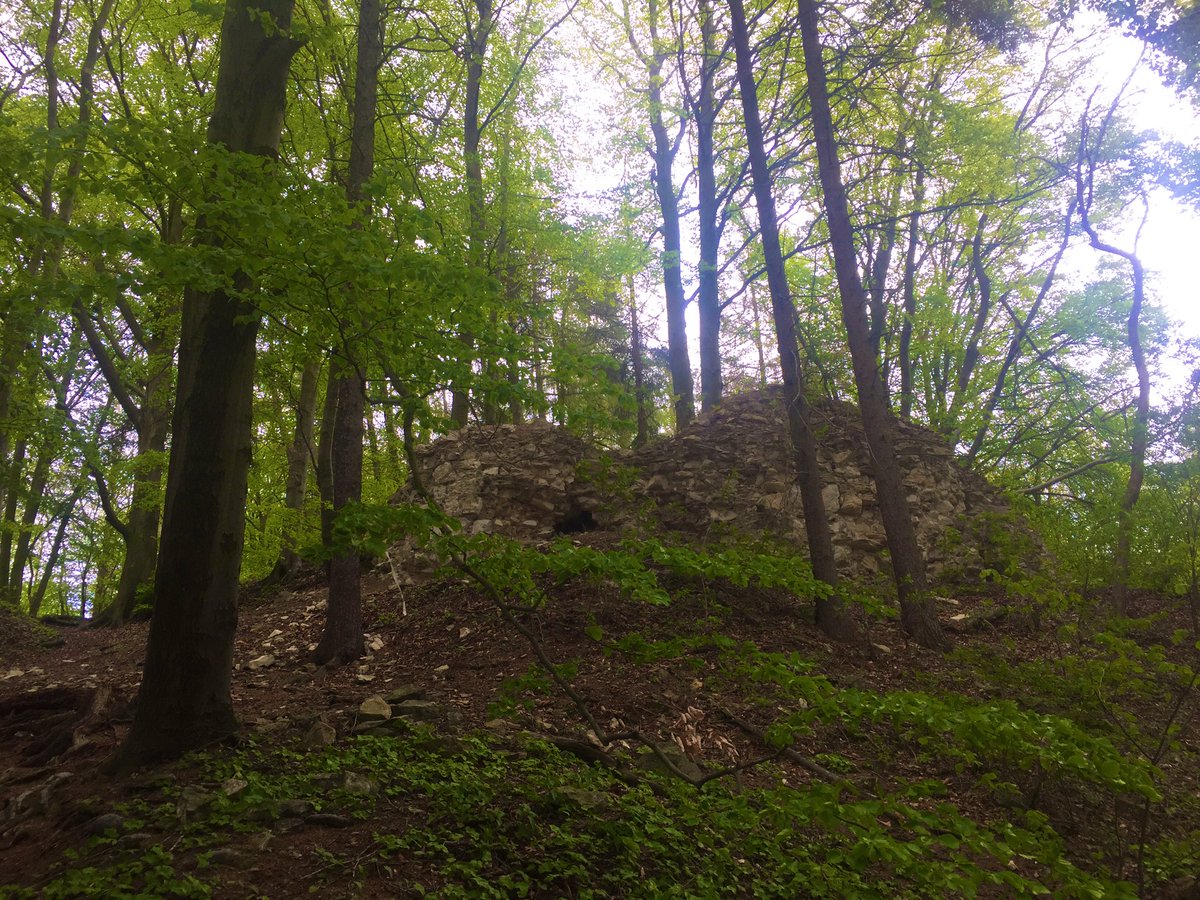 wdowy's tweet photo. #geocaching #czechia @LiveGeocaching @GoGeocaching https://t.co/WH7V1YQUxT