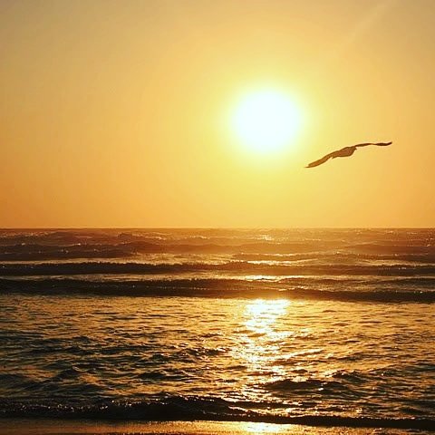 eduzanetti's tweet photo. Ah que se gritar pelo Amor, para não se gritar pela Dor!
Ah que se agarrar na Fé, para não se perder na solidão,
Ah que se excitar pelo beijo......https://t.co/OlUjMlJezs  #poesiaperlasera #poesia #autoconhecimento https://t.co/fXXs4hD84s
