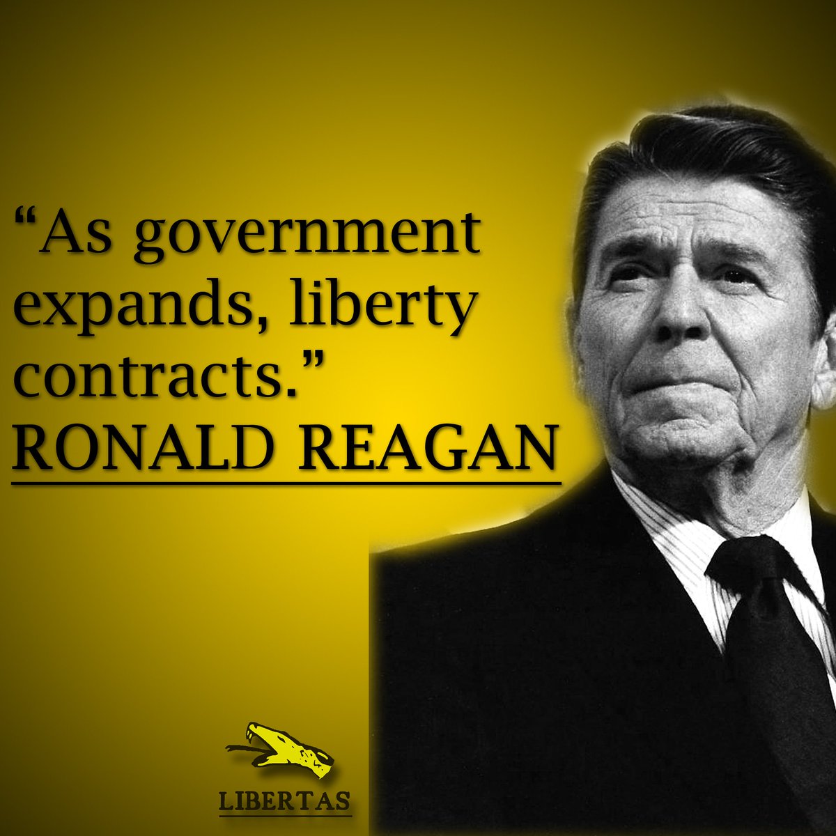 Famous Libertarian Quotes Quotesgram