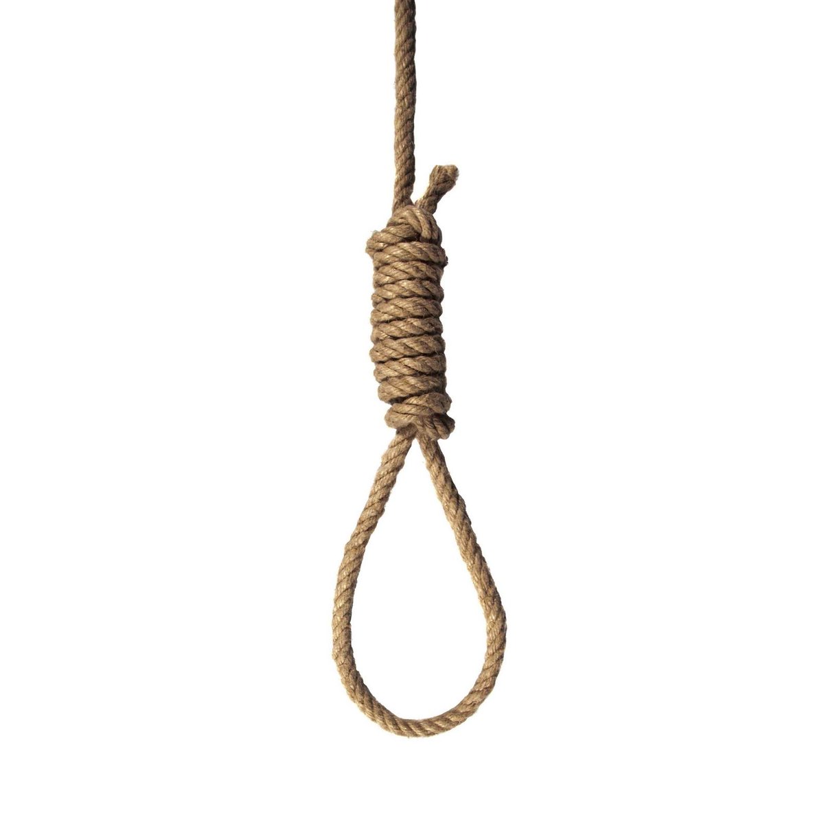 AllezPaillade's tweet image. #MHSCASC