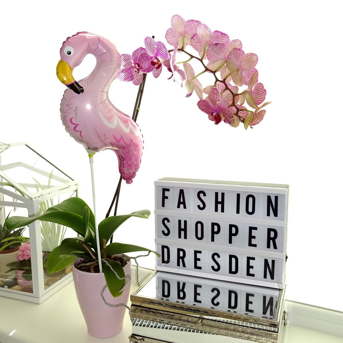 MUTTERTAG steht vor der Tür!

Fehlt euch noch eine tolle, einzigartige Geschenkidee?

Ein Gutschein für einen "Styling-Tag für 2" 
bei Fashion Shopper Dresden ist ein wirklich besonderes Geschenk. 
/Anzeige 
Weitere Info´s: fashionshopper-dresden.de/stilberatung-s…
