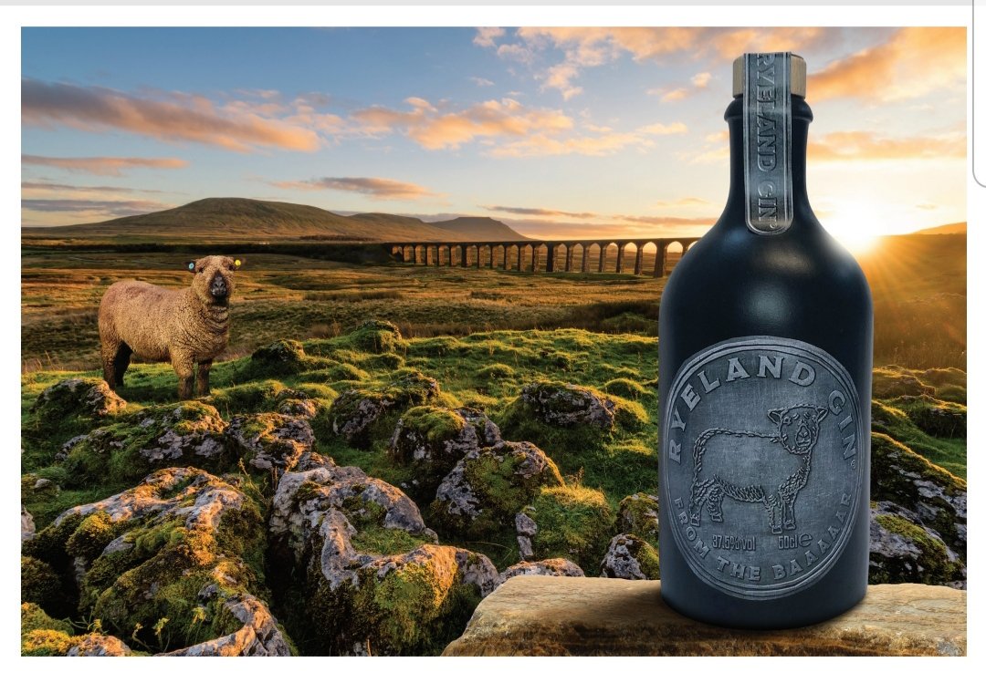 The Baaaaar is now officially open!!  Gin is handcrafted by a fantastic Gin company in the north &amp; will be launched at Devon County Show. #gin #ewellery #smeafieldcolouredryelands #handcrafted #ryelandgin #devon #sheep