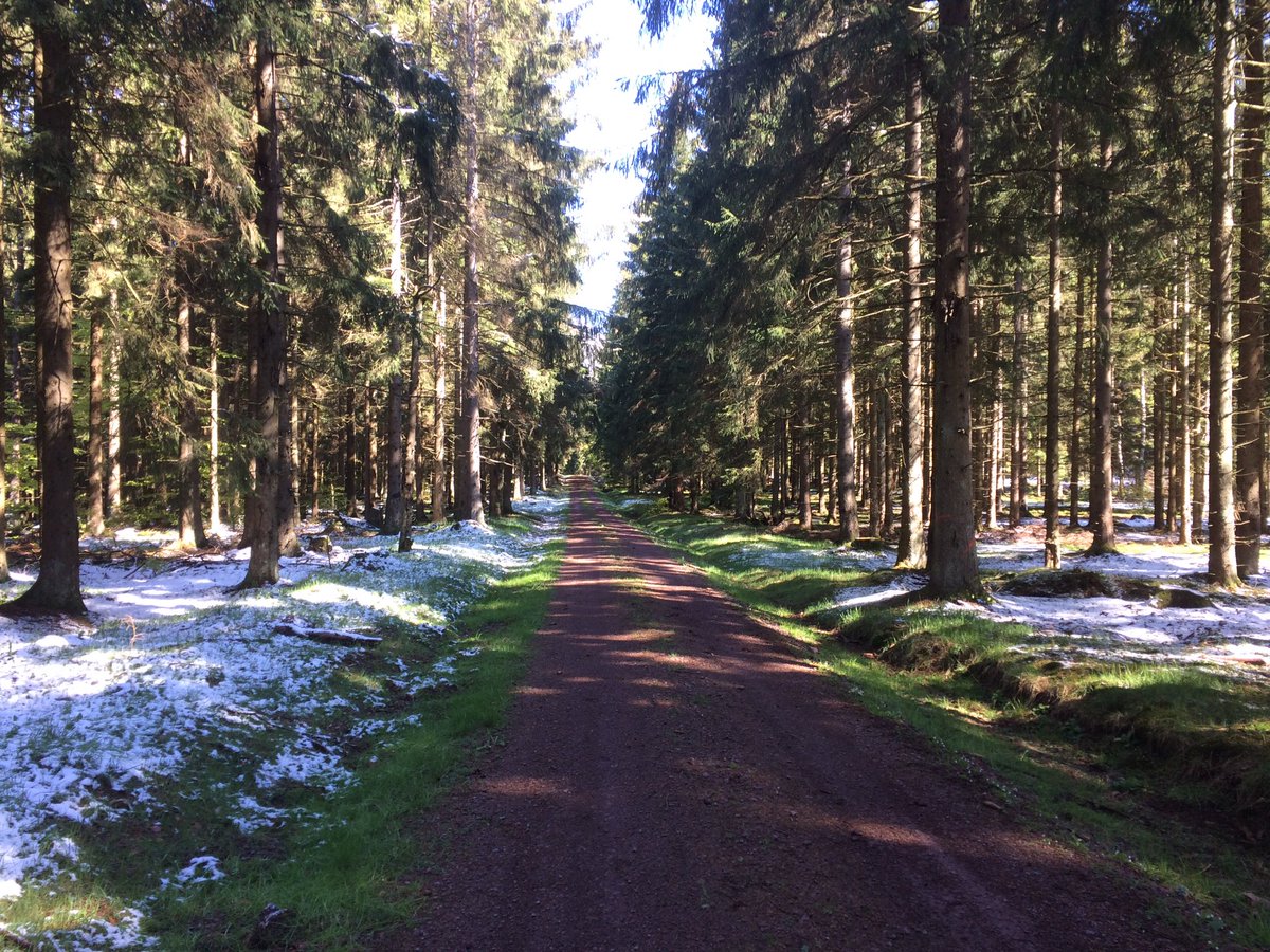 Reinhard Fuchs tweet media