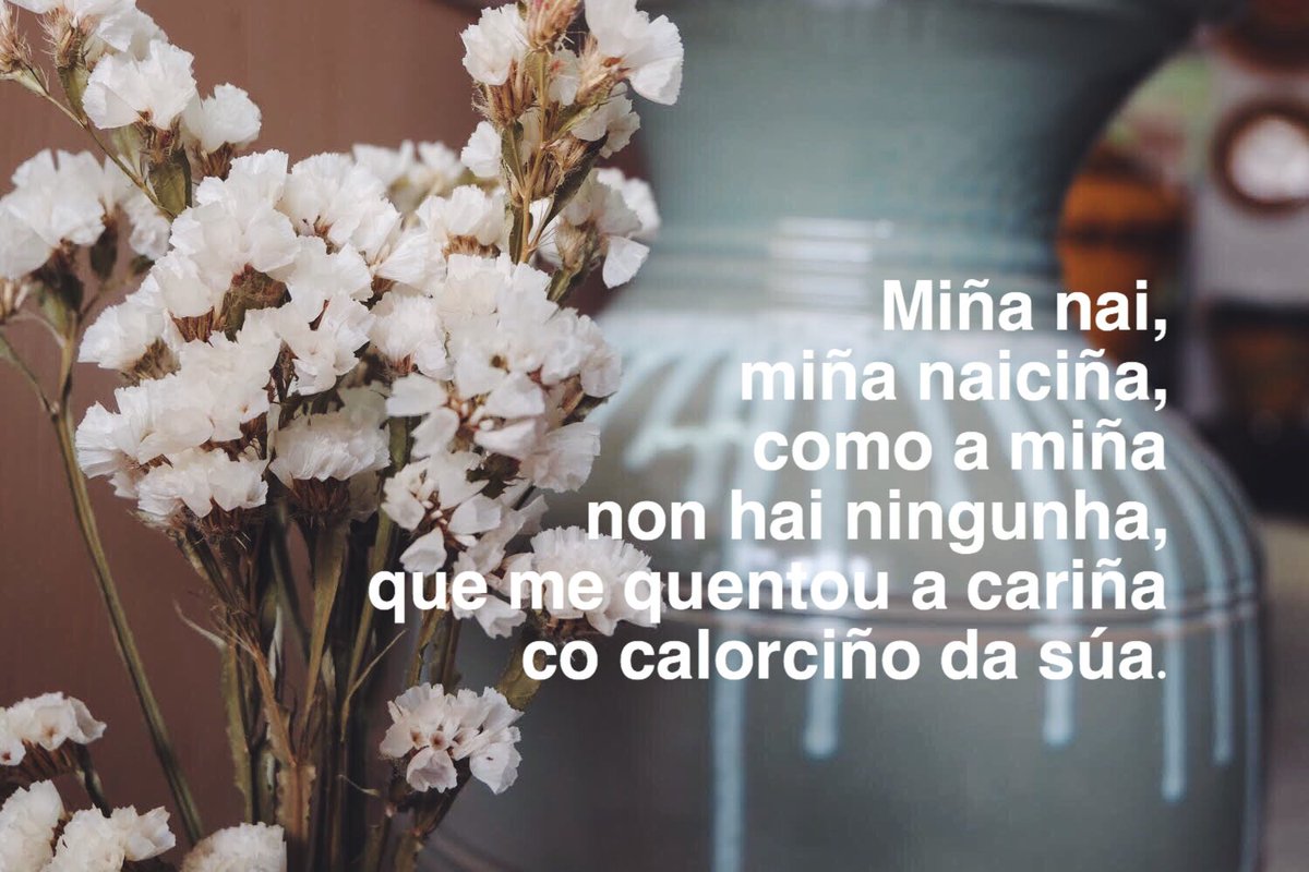 Hoxe: flores, olería e amor💐