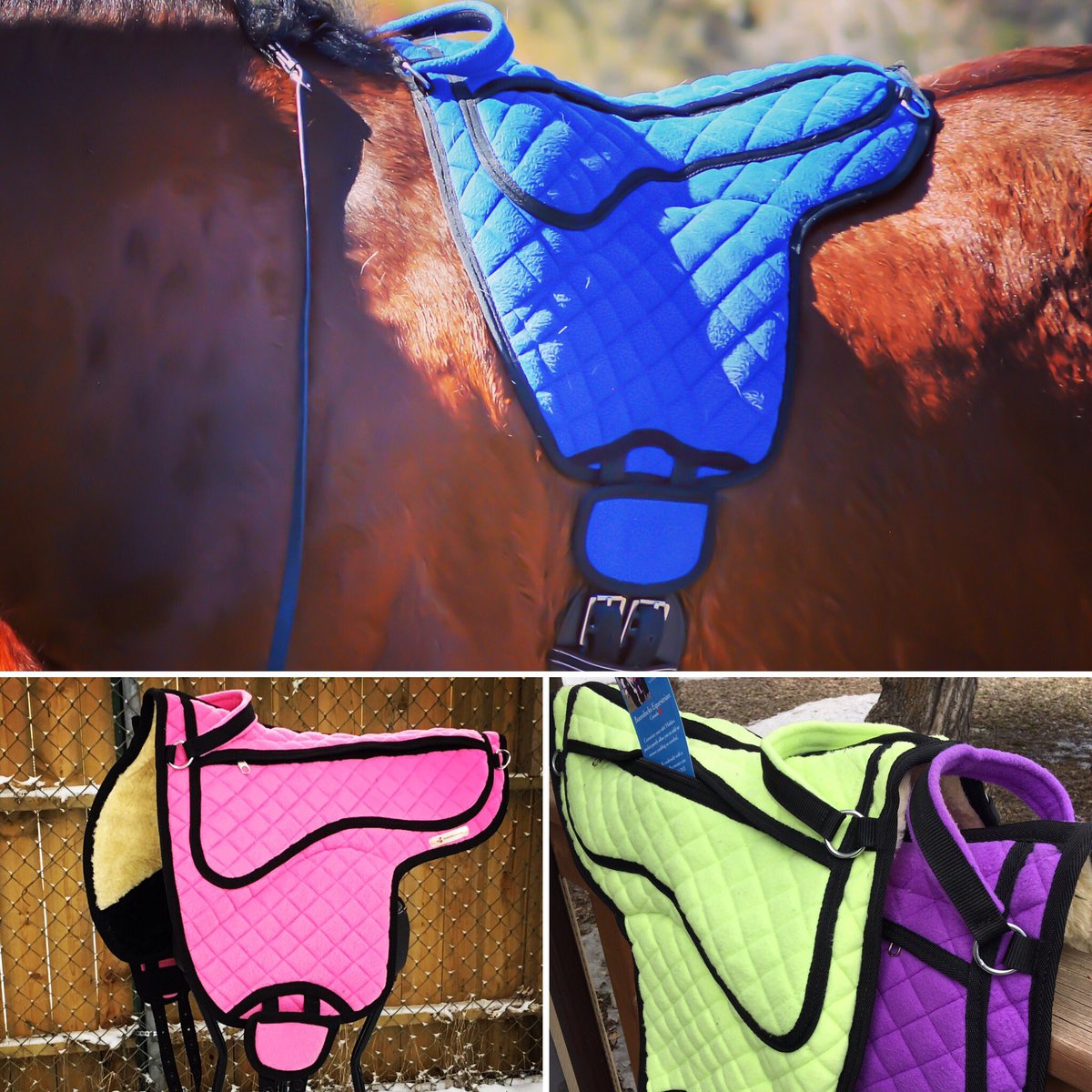 These vibrant colours are now in stock! We ship our bareback pads anywhere in US and Canada! Get yours at BoondocksEquestrian.com 

#barebackpads #horsesports #equestrianlife #trailriding #boondocksequestrian