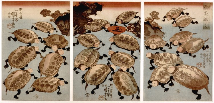 「亀喜妙々」1848年 歌川国芳 天保の改革の時代、役者絵が贅沢品として規制された。絵師たちは工夫をこらしその規制をかいくぐろうとした。 その一つ、亀を描き役者の顔にした。しかし当時もきもいと言われ売れなかった。