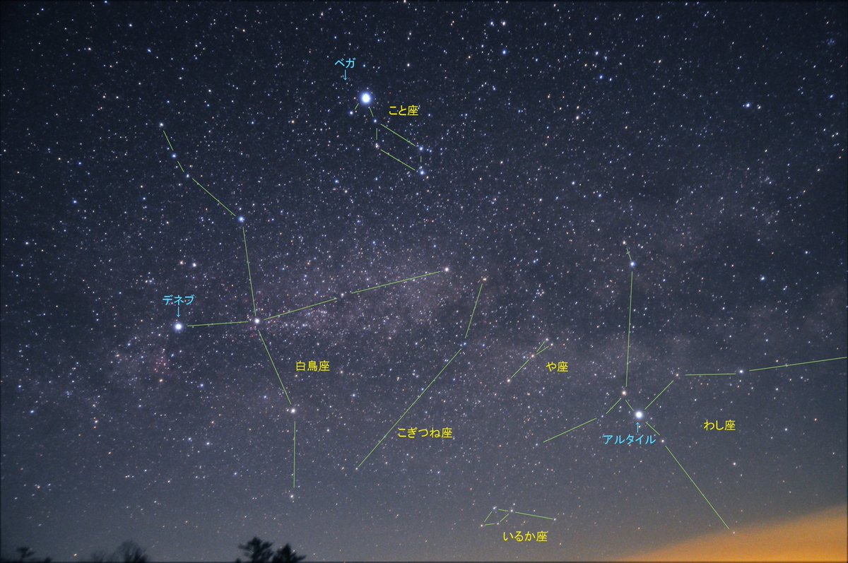 Koi No Twitter 夏の大三角の星座 白鳥座 こと座 わし座 と天の川 夏の大三角 白鳥座 こと座 わし座 天の川