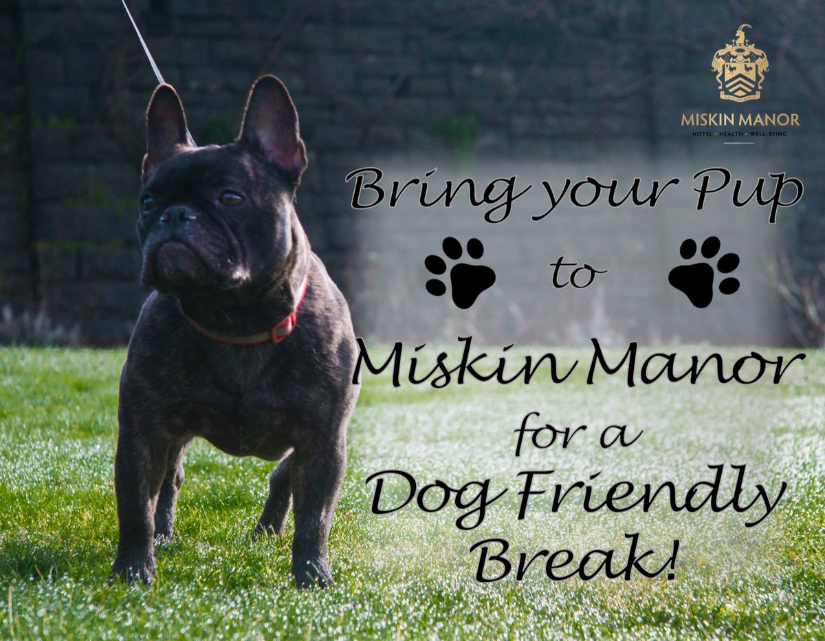 Just a reminder: We're #dogfriendly! That means when you stay here, or come for dinner or drinks you don't have to leave your dog at home! They can come experience Miskin Manor too!

For more information about our dog friendly accommodation, please call reception on 01443 224 204