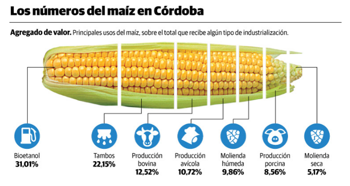 Los números de maíz en Córdoba @Agrovoz