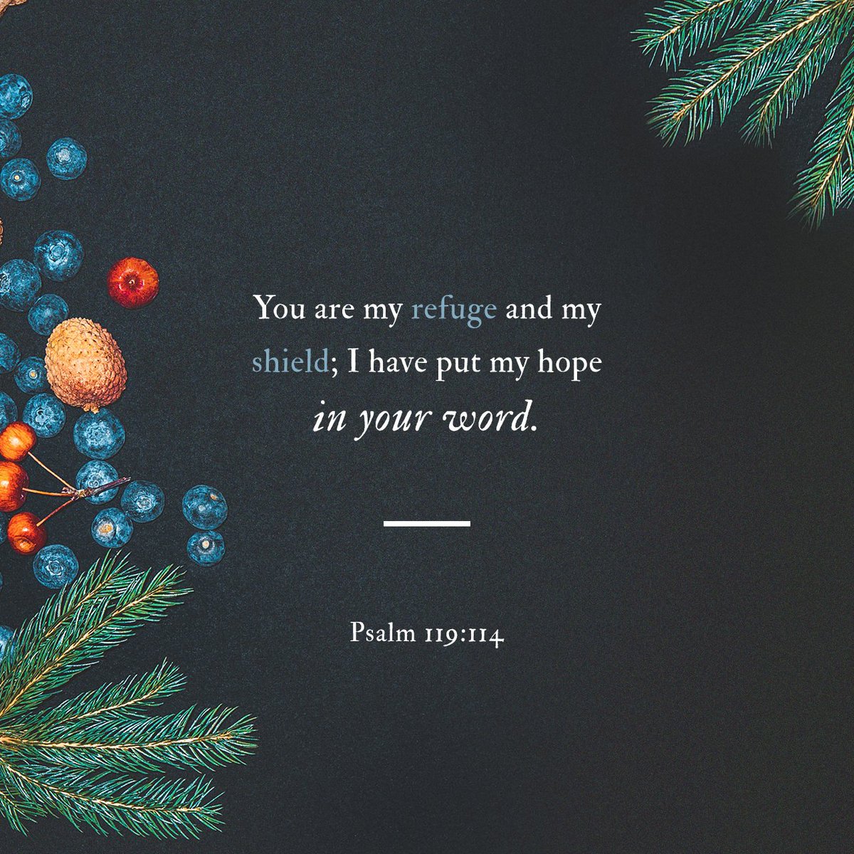 CofersChapel's tweet image. 