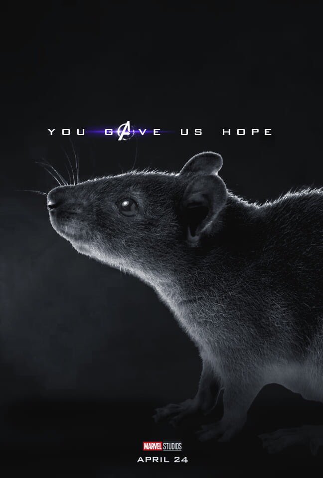 KEVINTOMIRANDA's tweet photo. The unsung hero of #AvengersEndgame https://t.co/EQVtFsqdaa