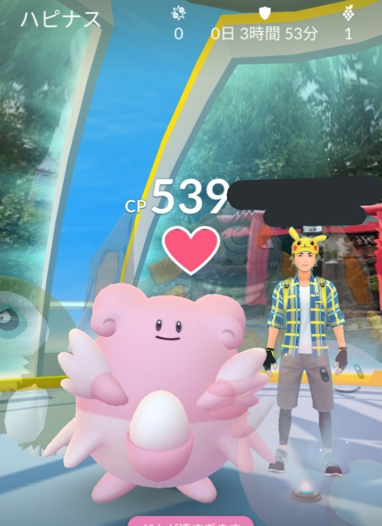 ハピナス ジム置きは定番 最近のハピネスは いと憐れなり みんなのポケgo みんポケ