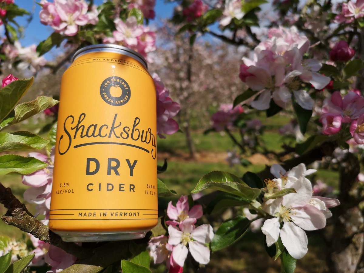 Back in the orchard where it all began, this is from our US partners Shacksbury Cider from Vermont, made with a blend of Vermont dessert apples and our own bittersweet cider fruit from Dragon Orchard here in Ledbury, Herefordshire. #cider #USA #UK #bestofbothworlds