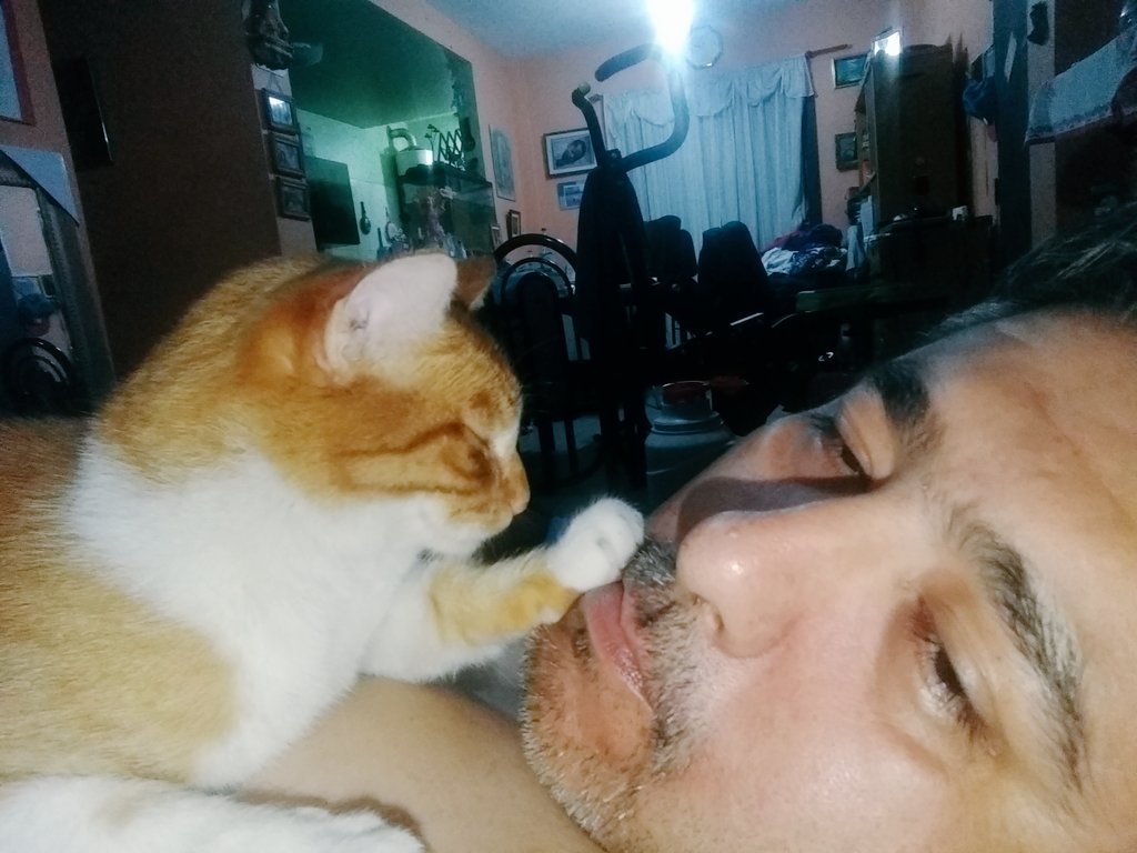 Mario Guzmán tweet media