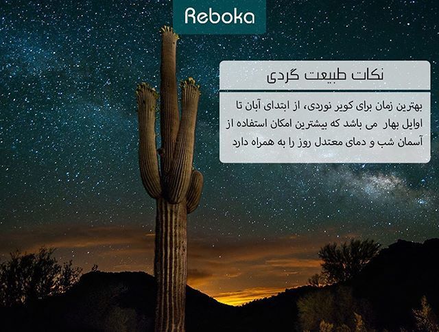rebokaco's tweet photo. _________________
#نکات_طبیعت_گردی #نکات_طبیعتگردی #سفر #طبیعت #چادر #ریبوکا #Reboka https://t.co/OzWUlAdYtq https://t.co/HHK46aOe3Y