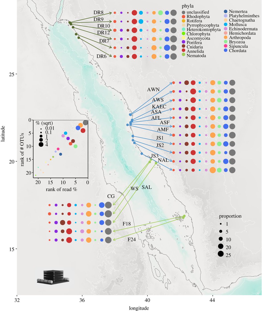 Susana Carvalho (@sackaust) on Twitter photo What is hidden in #RedSea coral reefs? Our last #ARMS paper describes the Red Sea #cryptobiome. <a href="/SaudiAramco/">saudiaramco</a> <a href="/IOP_Observatory/">IOP Observatory</a> <a href="/KAUST/">KAUST</a> <a href="/SmithsonianEnv/">SmithsonianEnv</a>. doi.org/10.1098/rspb.2… What is hidden in #RedSea coral reefs? Our last #ARMS paper describes the Red Sea #cryptobiome. <a href="/SaudiAramco/">saudiaramco</a> <a href="/IOP_Observatory/">IOP Observatory</a> <a href="/KAUST/">KAUST</a> <a href="/SmithsonianEnv/">SmithsonianEnv</a>. doi.org/10.1098/rspb.2…