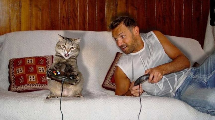 kittyBubbles99's tweet photo. #SinglePeopleTips 

   Get a Cat 🐈, you’ll never be alone...😉 https://t.co/eVzPGUqQOK