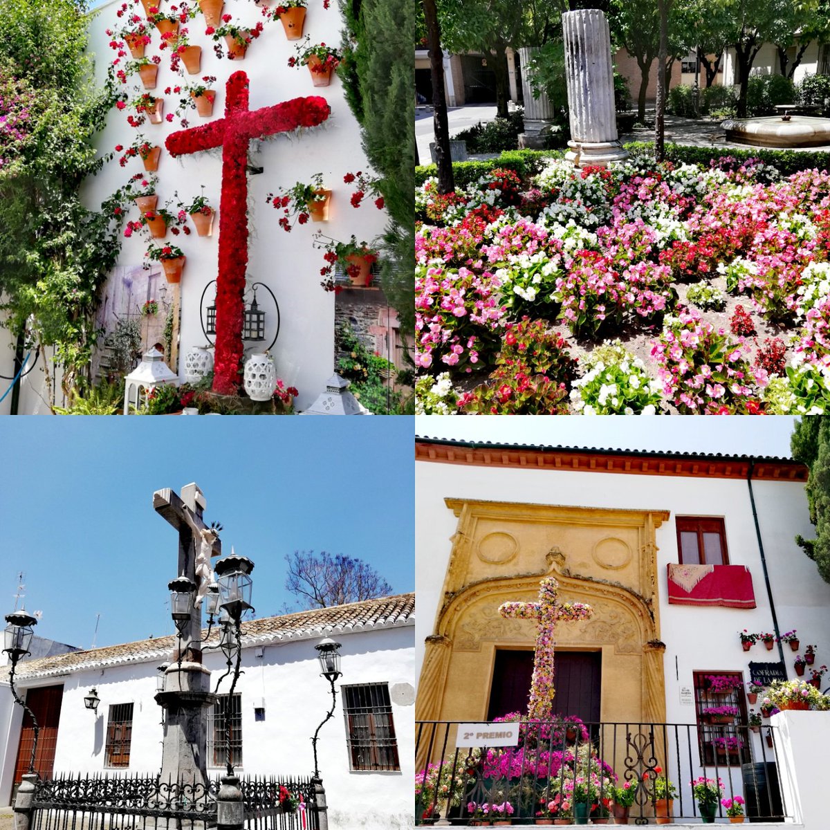 🌹Cruces de Mayo en Córdoba 🌹 #Sedellanaturaleza #mayoencordoba #crucesdecordoba #crucesdemayo #Cordoba #cultura #folclore #tradicion