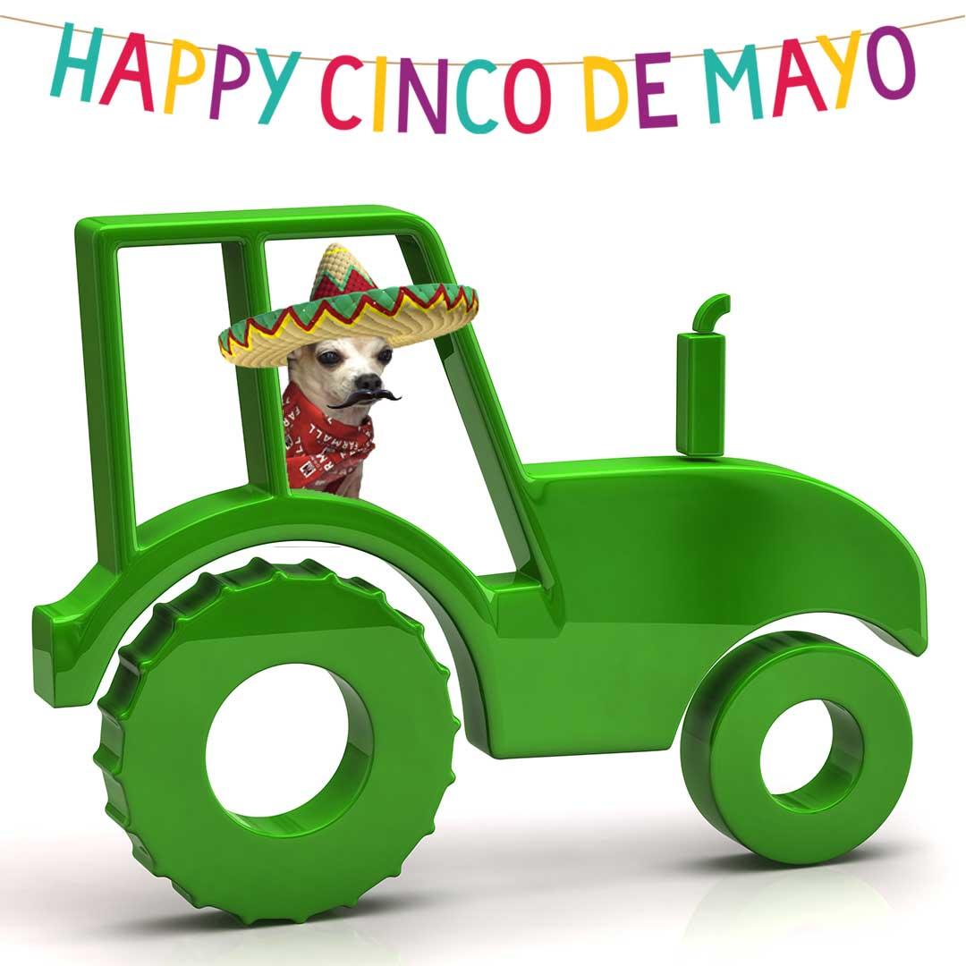 #HappyCincodeMayo
#tractor #NewPartsforOldTractors #chihuahua #tractordog