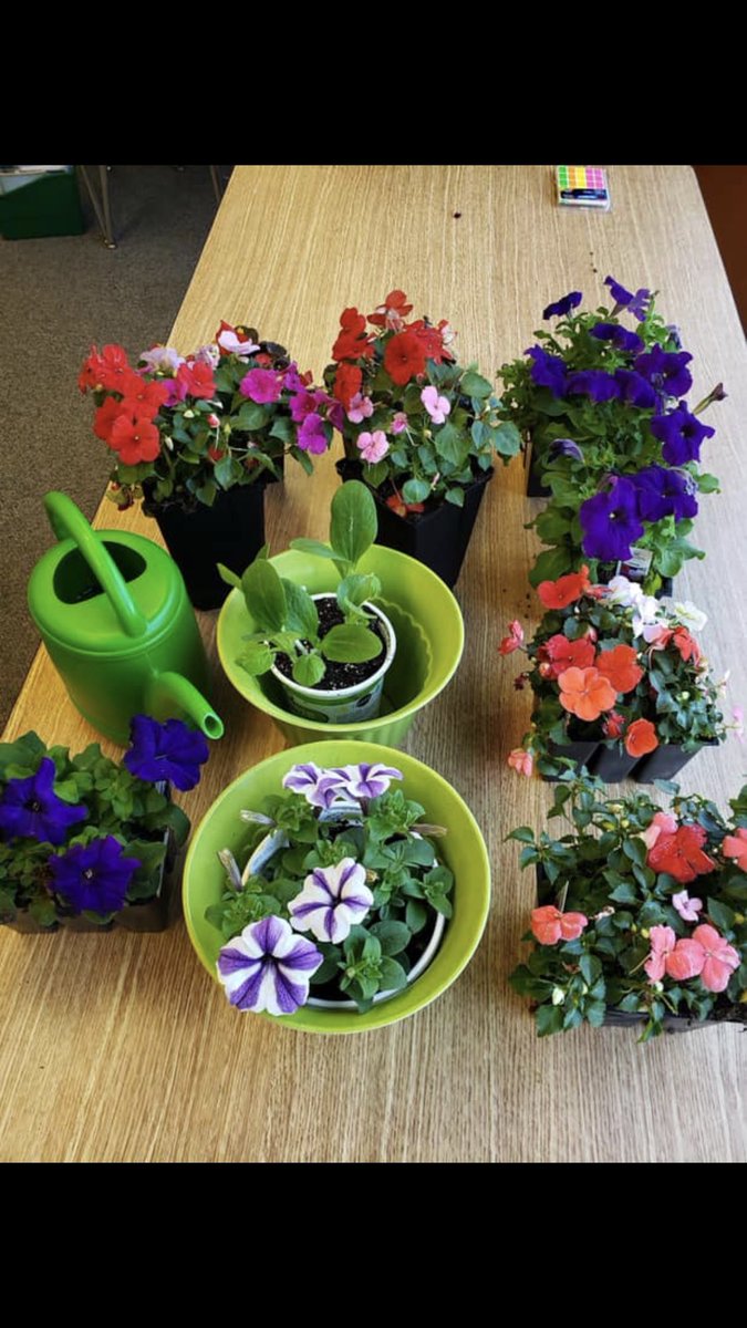 wesjackson3rd's tweet photo. 3rd grade plant sale at WES!! 5/9 from 12:00 -1:30! Make plans to attend!#WhosGotItBetterThanWes https://t.co/D1Nl0LwxiO