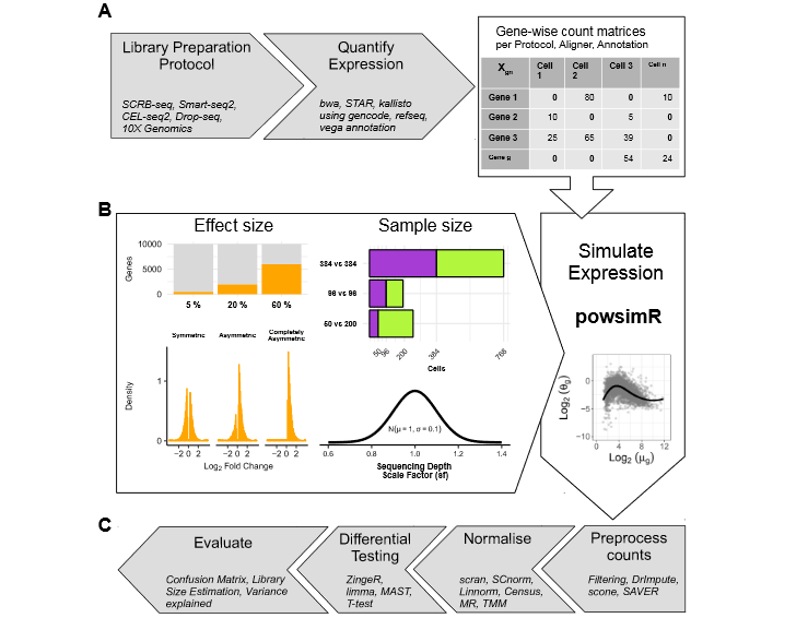AutonomicAus's tweet photo. A Systematic Evaluation of Single Cell RNA-Seq Analysis Pipelines, by researchers at @LMU_Muenchen @MPIAGE @karolinskainst
https://t.co/oZtEjSkv0u
#RNAseq #singlecell #RNAanalysis #bioinformatics #bioinformaticspipeline #computationalmedicine #computationalbiology #RNA #scRNA https://t.co/zKJunfVr02