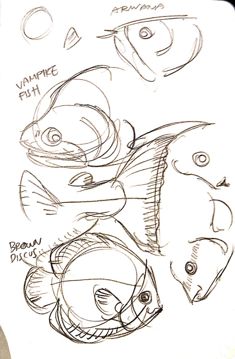Some sea Aquarium sketches 