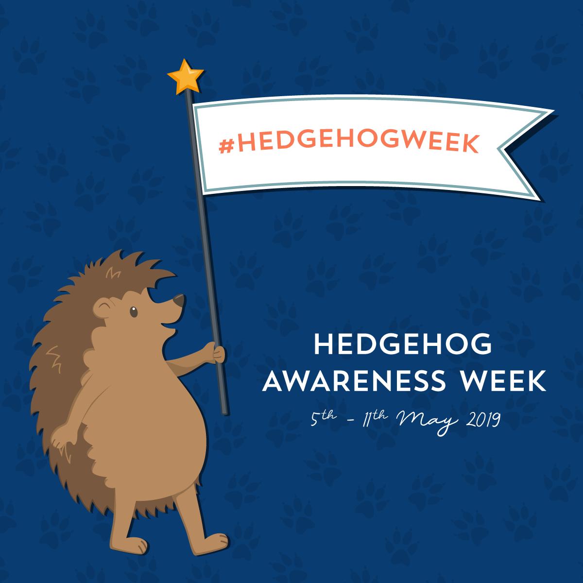 Did you know Hedgehog Awareness Week starts today? Organised by the British Hedgehog Preservation Society (BHPS), it aims to highlight the problems hedgehogs face and how you can help them britishhedgehogs.org.uk/hedgehog-aware… #hedgehogweek #savethehedgehogs