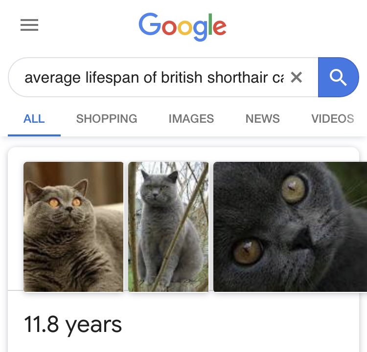 FunkMasterMaybe's tweet photo. The news about Grumpy Cat has got me doing some very #SadMath... https://t.co/Usq311lyQT