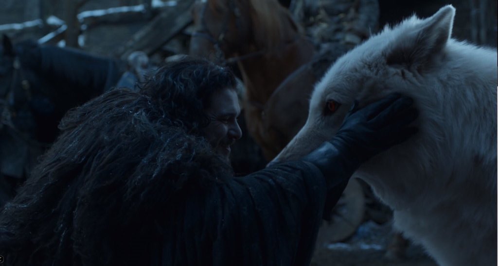 nairmridu289's tweet photo. Moral of the story-
In the end people might betray you but your pets will not 

#GameofThrones #GameOfThronesFinale https://t.co/Ft1YoRhc9D