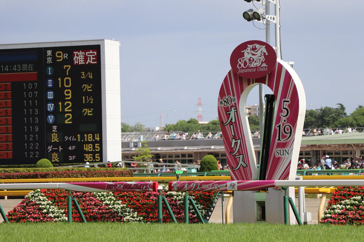 shake1019's tweet photo. 昨日も東京競馬場行ってきました！
人が凄かったです！前列がレジャーシートでどうしよう〜と思ってたら、前回と同じおじちゃんがまた！場所を！譲ってくれました〜☺️けど、関係者の人が撮影する所でおじいさんが立ってしまいゴール写せず…
無念……
#オークス 
#オークス2019 
#ラヴズオンリーユー https://t.co/xKQQ2LU0A0