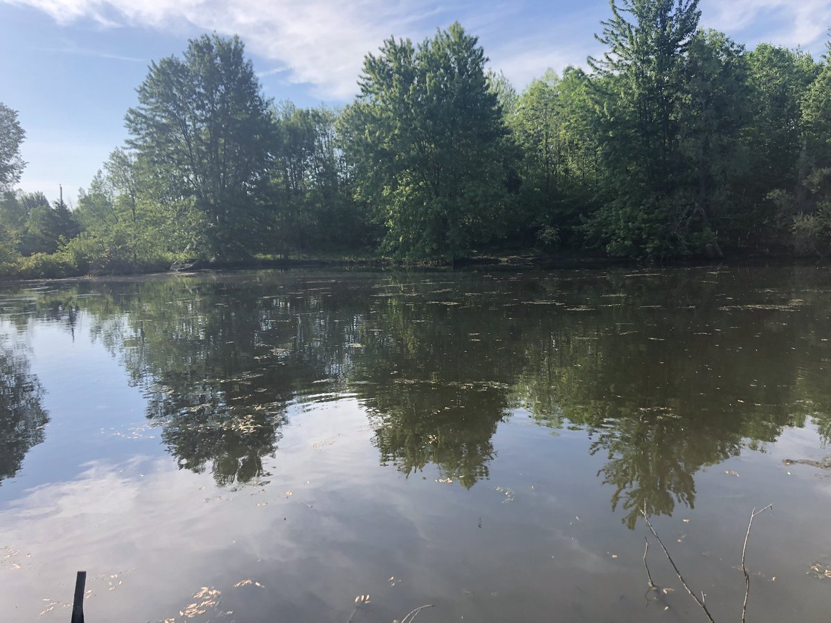 DouglasDiller_'s tweet photo. Had a nice day pond hopping with a buddy and checked out an old spot from 15 years ago #bassfishing #pondfishing https://t.co/TeLsCzhUoy