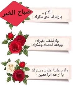 um salem (@umumsalem60) on Twitter photo 