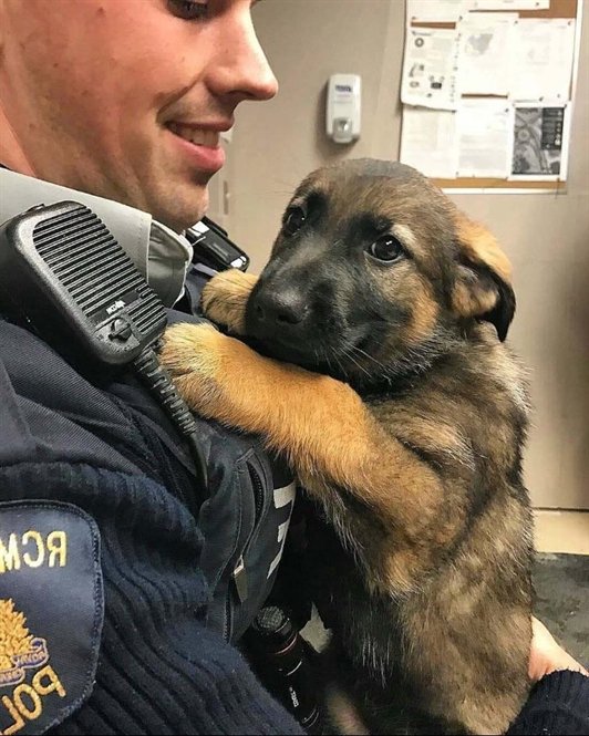 Reporting for duty
#animalslover #pets #wildlifeaddicts