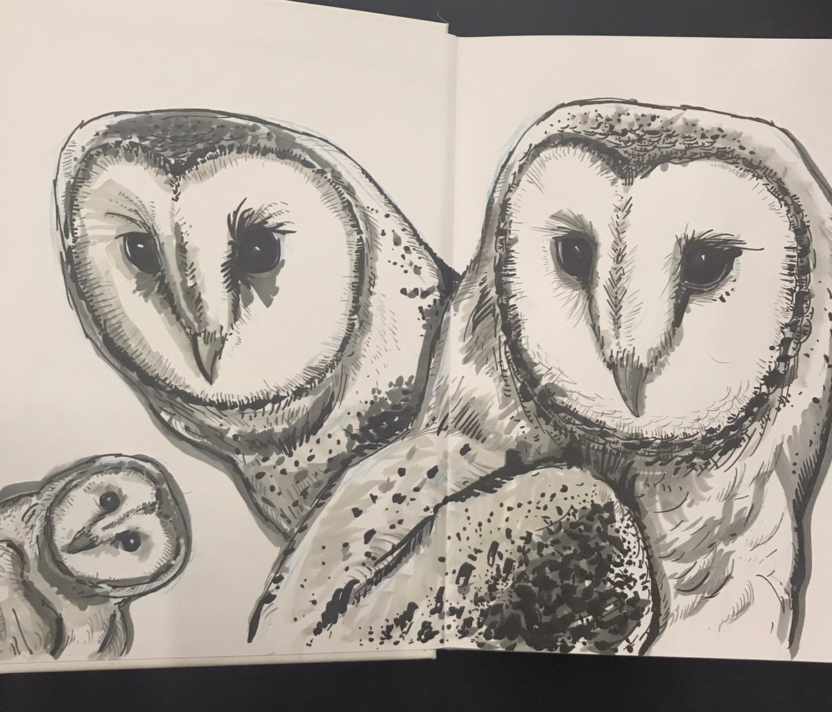 NickGribbon's tweet photo. More book sketches from today. I’ll be bringing these books and lots more to draw in to London @MCMComicCon @Reed_POP 24-26th May in @ComicVillage, Table CV53. Come along and get a custom hand drawn sketch. 
#mcmcomiccon #comiccon #comicvillage #artist #sketch #drawing #wildlife https://t.co/HRkJ6mg7Ts