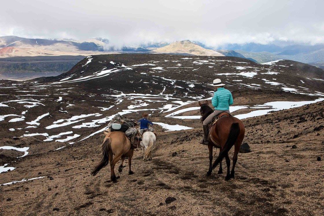 DescubrePucon's tweet photo. Cabalgatas en Pucón #Pucon #VisitPucon #VisitAraucania #PuconChile https://t.co/zvtkeicbQX https://t.co/H4L8k6b8t8