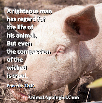AnimalApologist's tweet photo. Here we learn the Biblical principle on how we ought to treat all of God's animals. This principle is based on God's love and wisdom. We ought not ignore God's wisdom and love. #ReturnToEden #Repent #KingdomofGod #GardenofEdenDiet #TempleoftheHolySpirit https://t.co/jE6RlsAhau