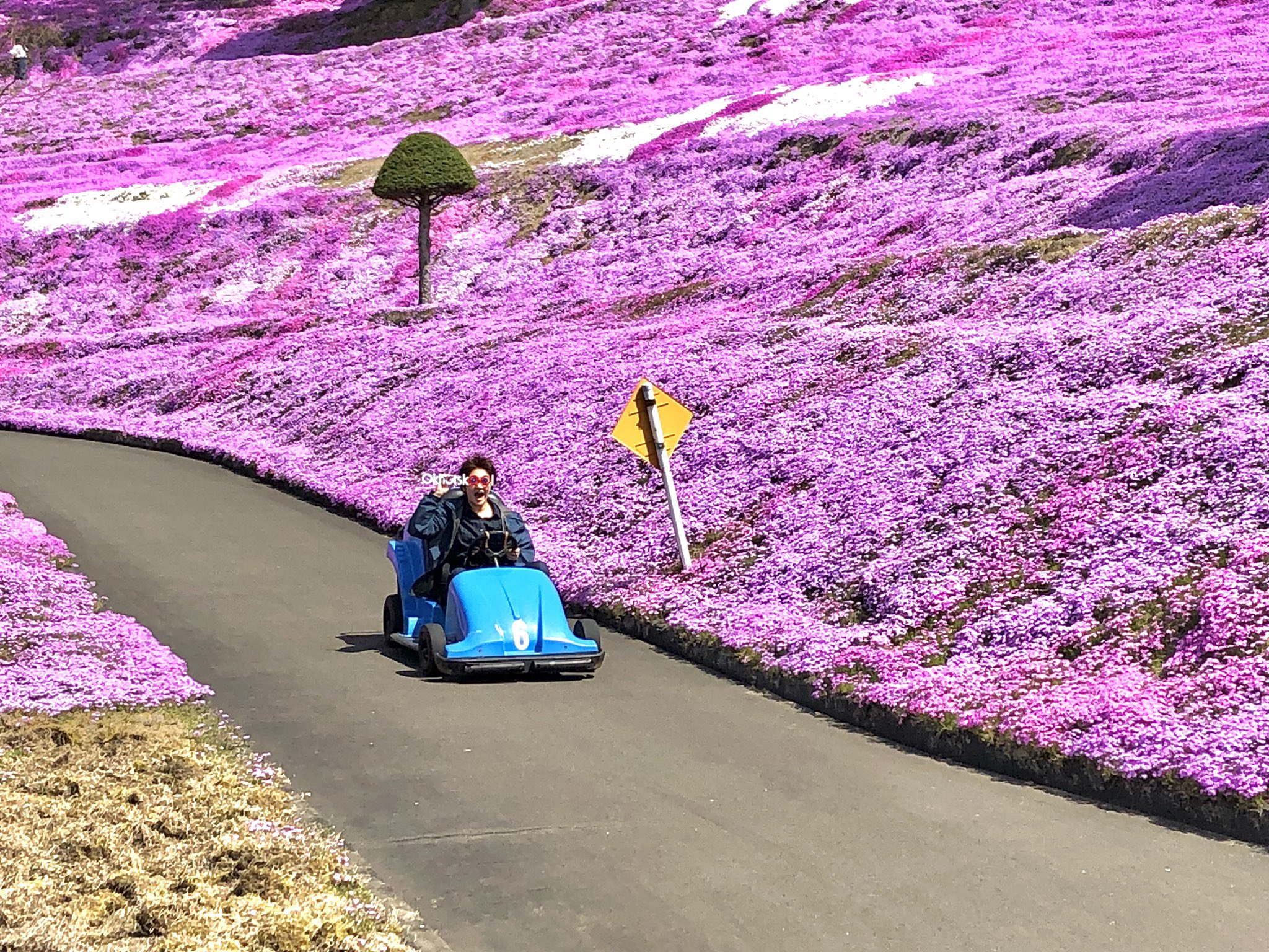 オホーツクール ひがしもこと芝桜公園では ６月２日まで芝桜まつり開催中です 写真はゴーカートに乗る中の人 このあと脱輪したのは内緒です T Co 0elehnnigy Twitter