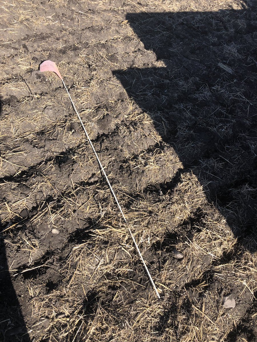 Anyone know where a person could pick up these 6ft fibreglass flags??