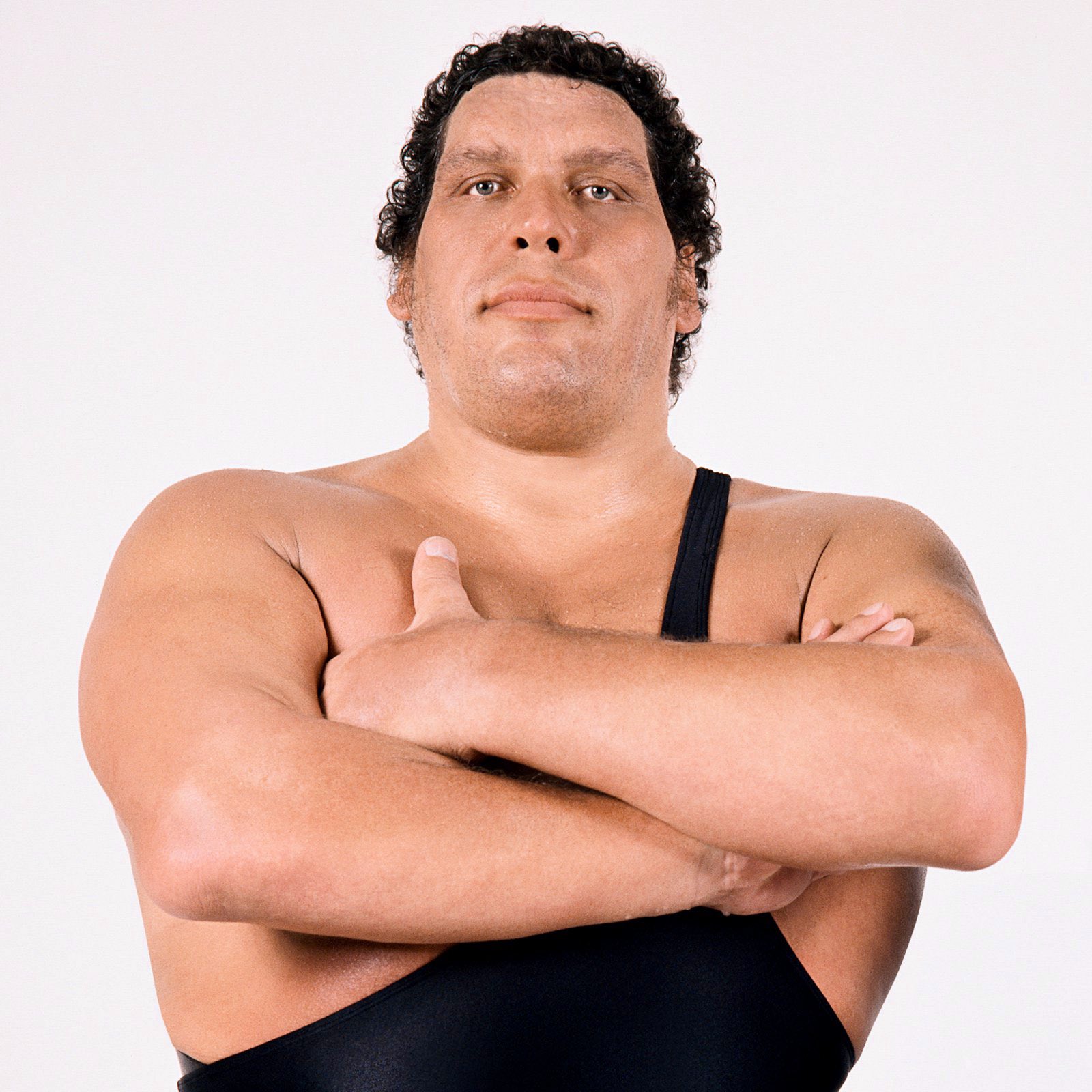 Happy Birthday to the late, great, Andre the Giant!    