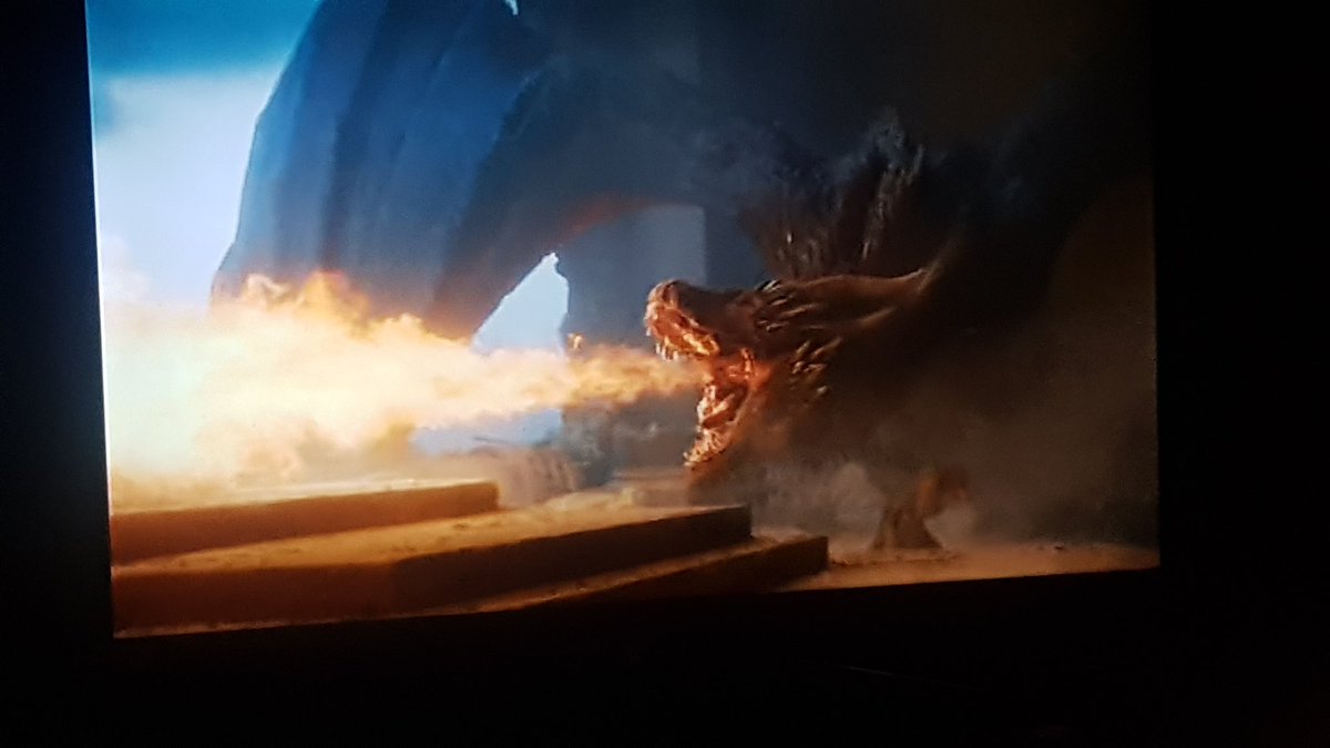 saralouw's tweet photo. Bin that #gotpetition whingers, this is IT! Absolute pay off for 8 years devotion. ❤ #Drogon he knew the real source of all evil. #GameOfThronesFinale https://t.co/fwKM6b4L3x
