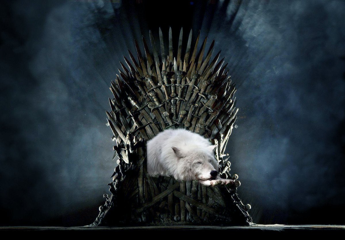 etnow's tweet photo. tbh 🐶 #GOT https://t.co/EOvHyD0xAp