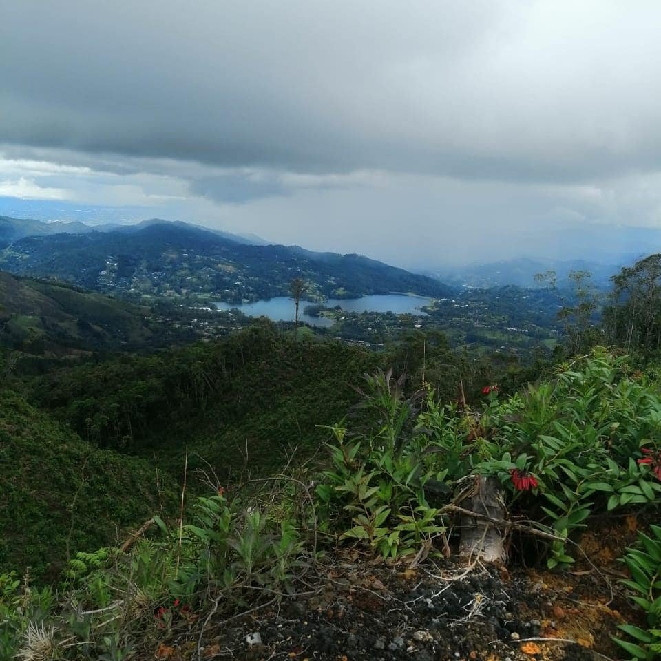 Tatibalvin's tweet photo. 17 km Alto del Escobero - El Retiro. 🍃🌻🐞⛰️☘️🐦
Una ruta que dejó apreciar el Valle de San Nicolás y Aburrá, un Bosque de Niebla único en la región y especies de flora y fauna asombrosas.
.
#Barranqueros #mindfulness #Senderismo #Caminar #Antioquia #ElRetiro #SenderismoCol https://t.co/uZ3bnyvJI0