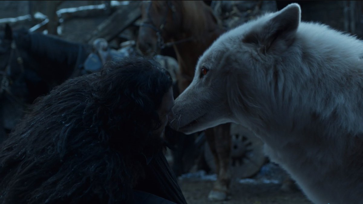pjbalbewho's tweet photo. Finally Ghost much deserved scene 🐺  #GameOfThronesFinale https://t.co/d1qwv42AsZ